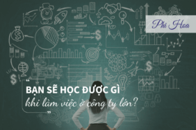 Bạn sẽ học được gì khi làm ở công ty lớn?