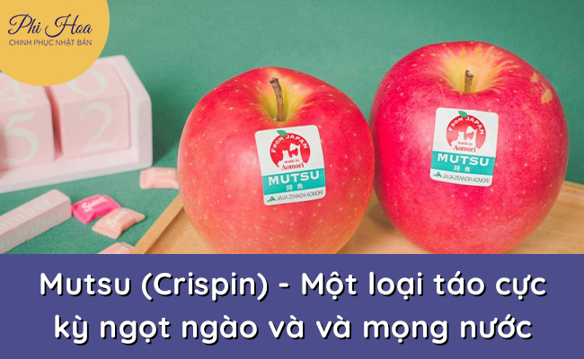 Mutsu - một trong những giống táo nổi tiếng ở Aomori Nhật Bản