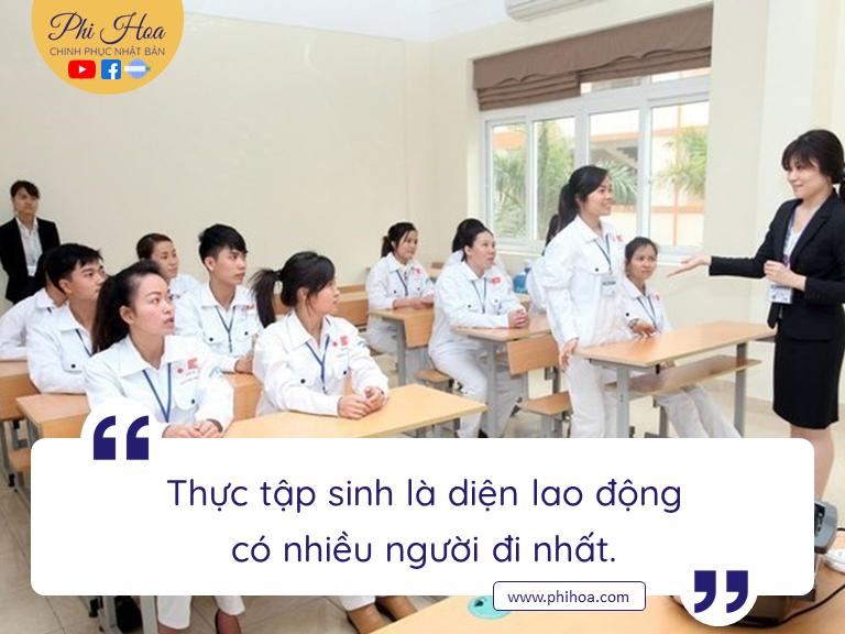 Nên hay không nên cất bằng đại học để đi xuất khẩu lao động?