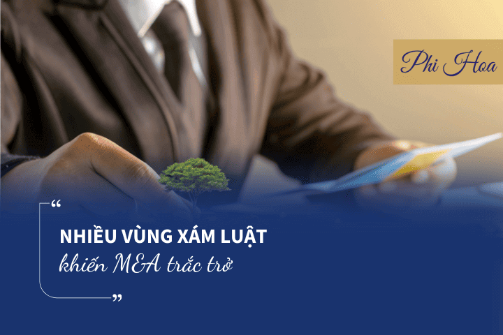 gap-go-CEO-one-value-vung-xam-khien-MA-trac-tro